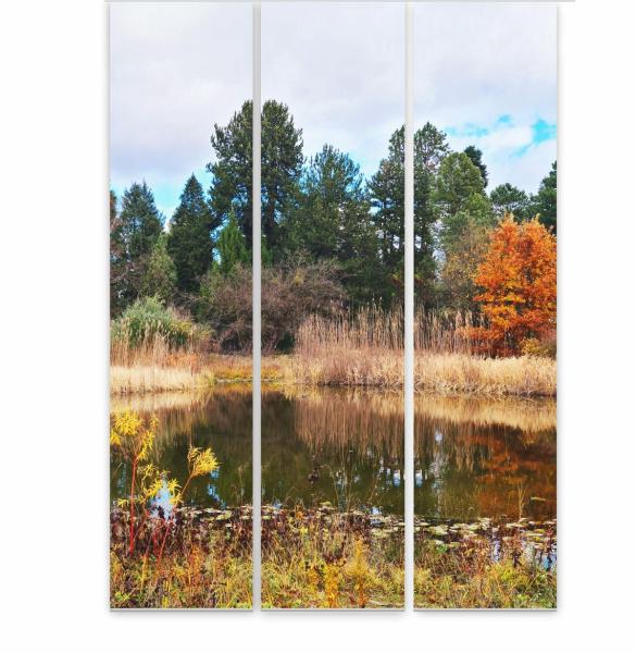 Flächenvorhang Herbstteich 3er Set, Schiebegardine, Schiebegardinen, blickdicht, Flächenvorhang blickdicht, Schiebevorhang,